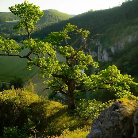 公寓 Kleiner Urlaub 博伊龙