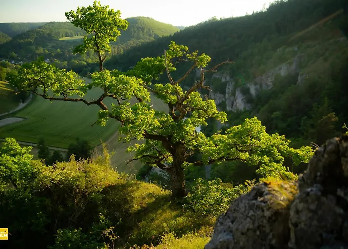 Apartment Kleiner Urlaub Beuron